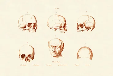 Frenologia, 1833-39